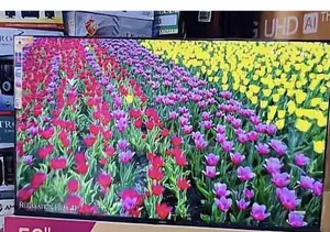 Vitron 50” Qled Tv