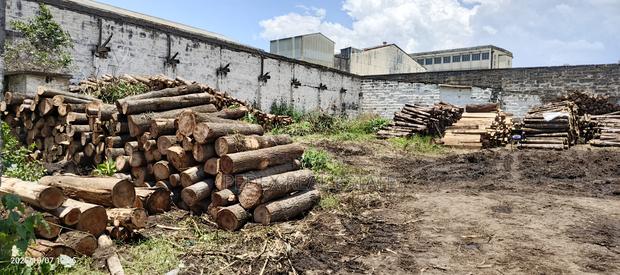 Industrial Area Godown/Warehouse 1/4 Acre Plot(For Building) || Pedex - thumbnail 3