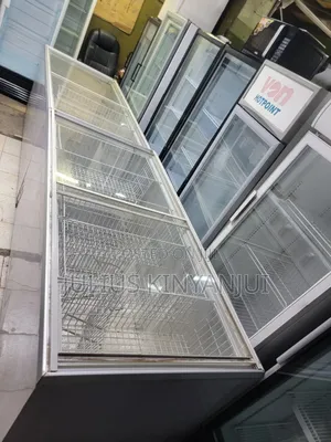 Showcasing 900l Commercial Freezer