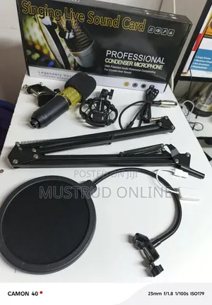 Complete V8 Condenser Microphone