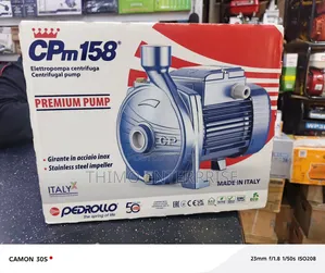 Pedrollo Water Pump