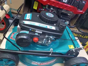 Effective 4hp Total Lawn Mower