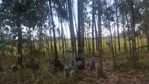 Mixed-use Land With A House For Sale Olkalou