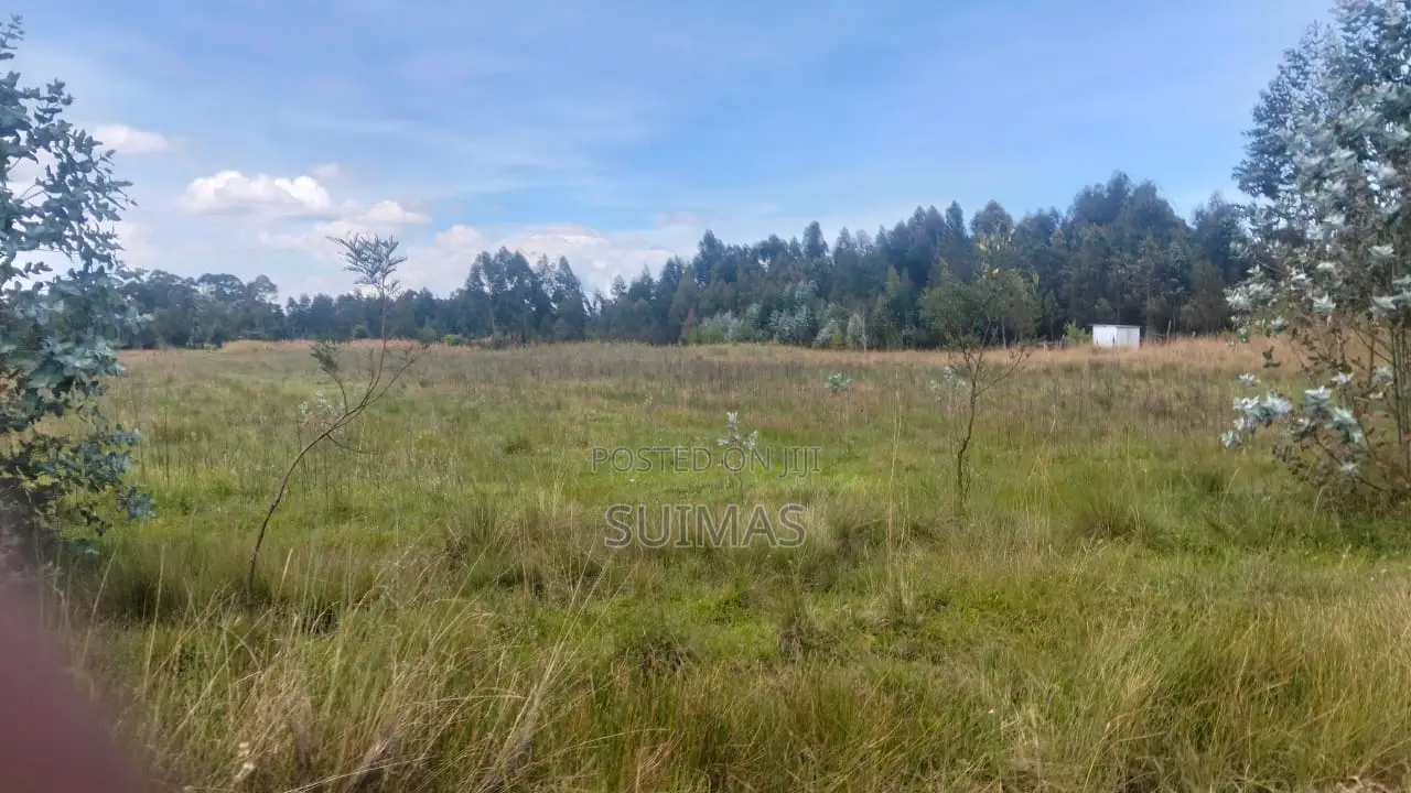8-acre Property For Sale In Nyandarua