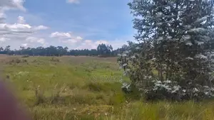 8-acre Property For Sale In Nyandarua