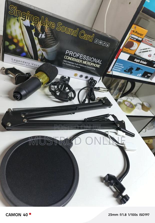 V8 Studio Condenser Microphone - main view