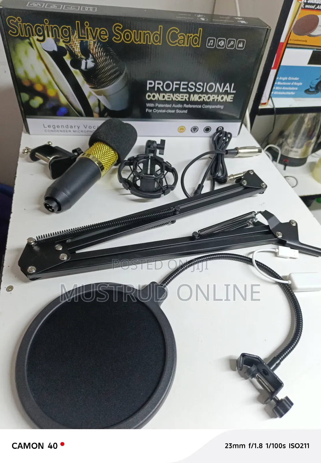 Singing Live Condenser Microphone