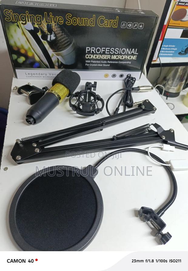 Singing Live Condenser Microphone