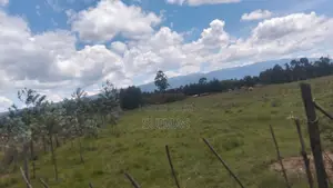 8 Acres With A House For Sale In Olkalou