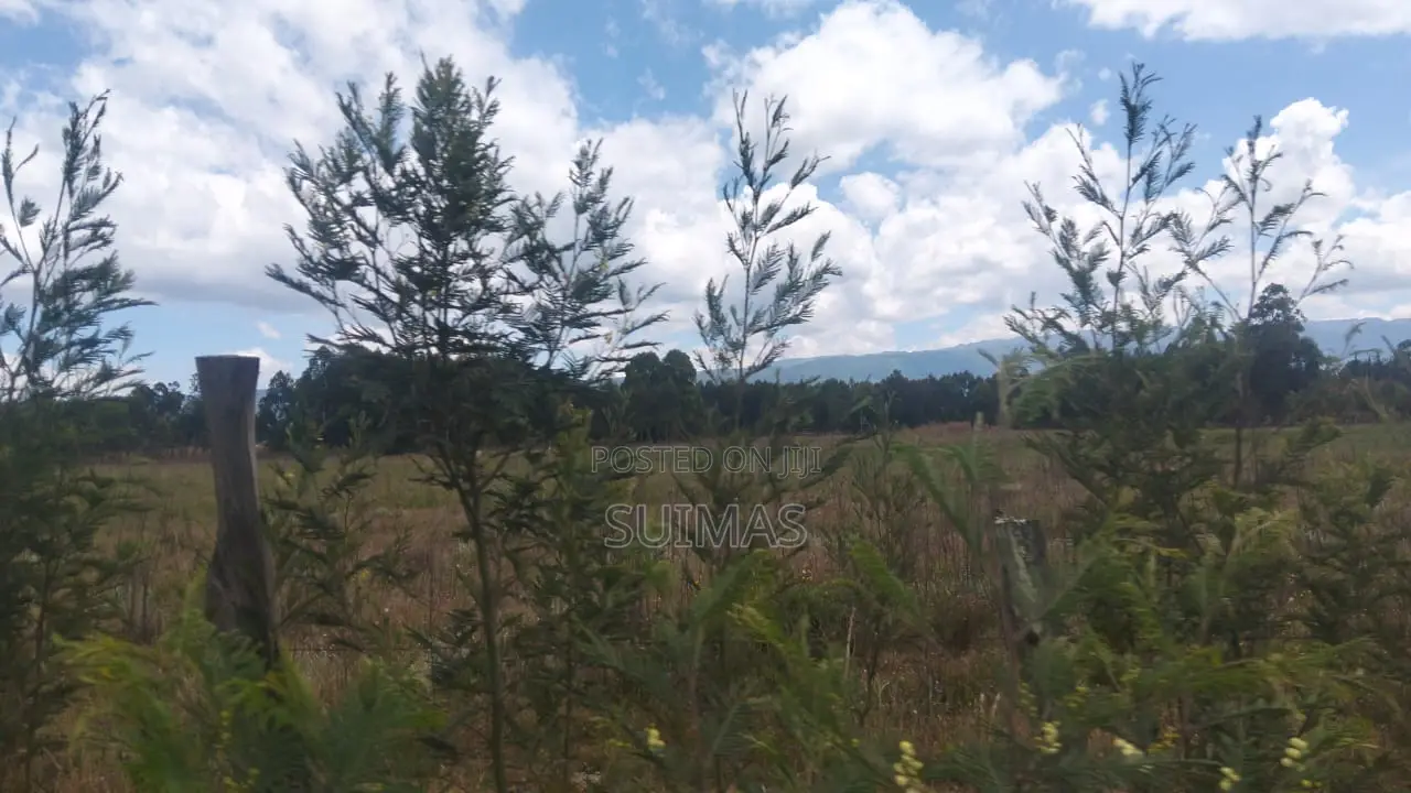Land for 1 Million Per Acre Olkalou