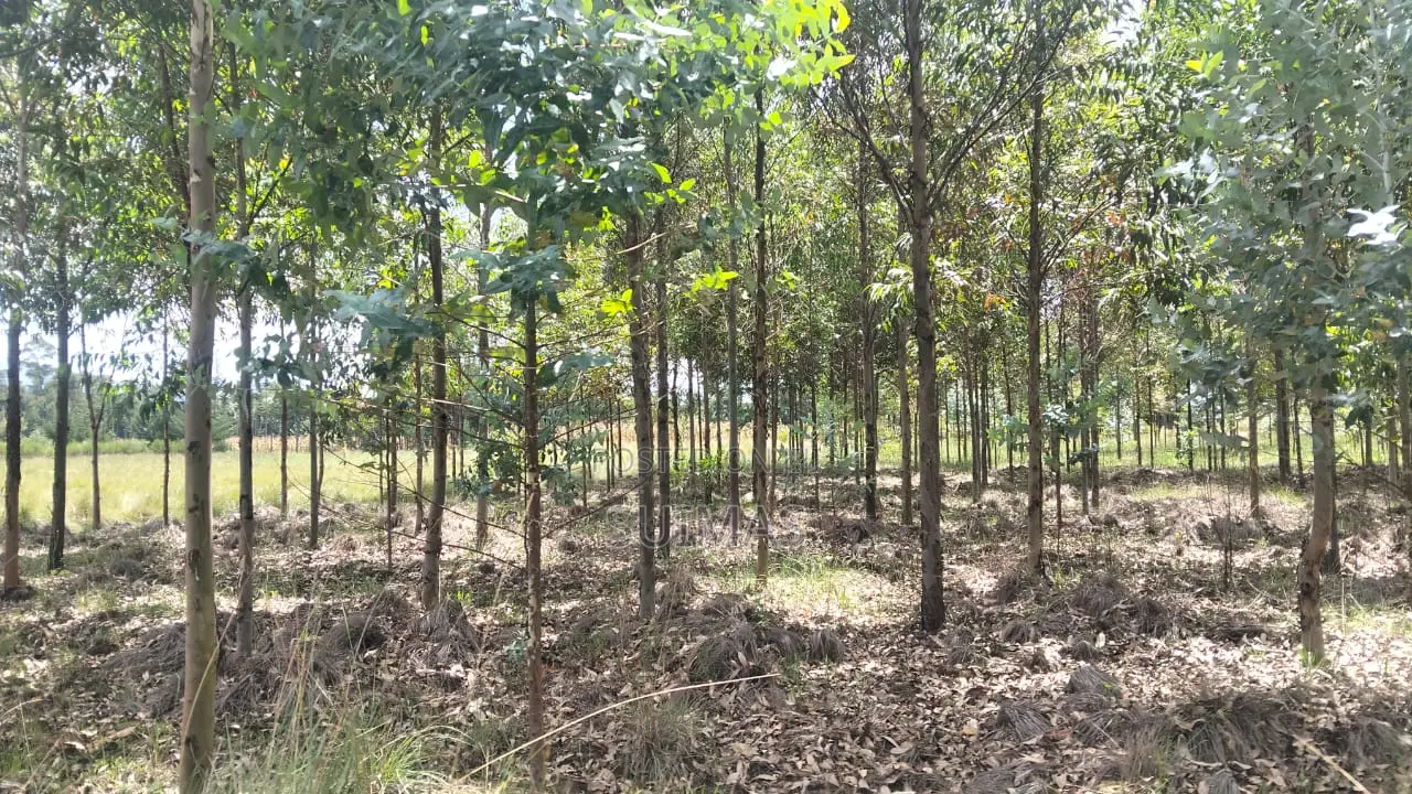 Land for 1 Million Per Acre Olkalou