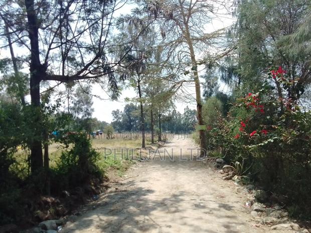 Prime 0.5 Acre 1acrebin Karen