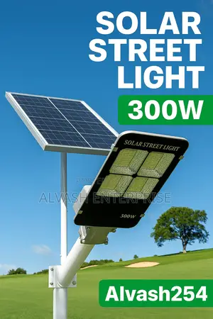 300w Solar Streetlight