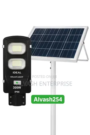 300w Solar Streetlight
