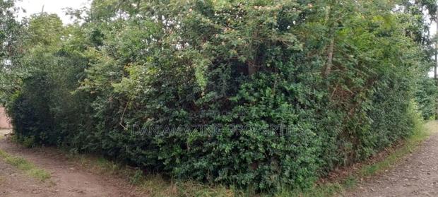 1/4 Acre Plot in Ngong Olepolos for Sale - thumbnail 5