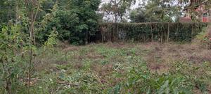1/4 Acre Plot in Ngong Olepolos for Sale - thumbnail 2