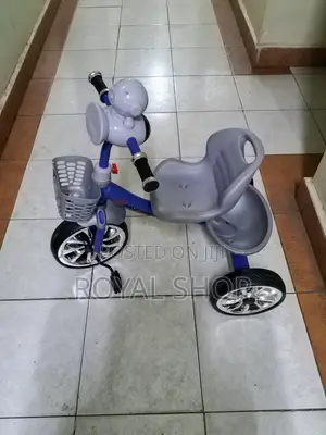 Tricycle Kids Tricycle