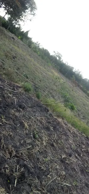 1/4 Acre Plot in Tuala Ongata Rongai for Sale