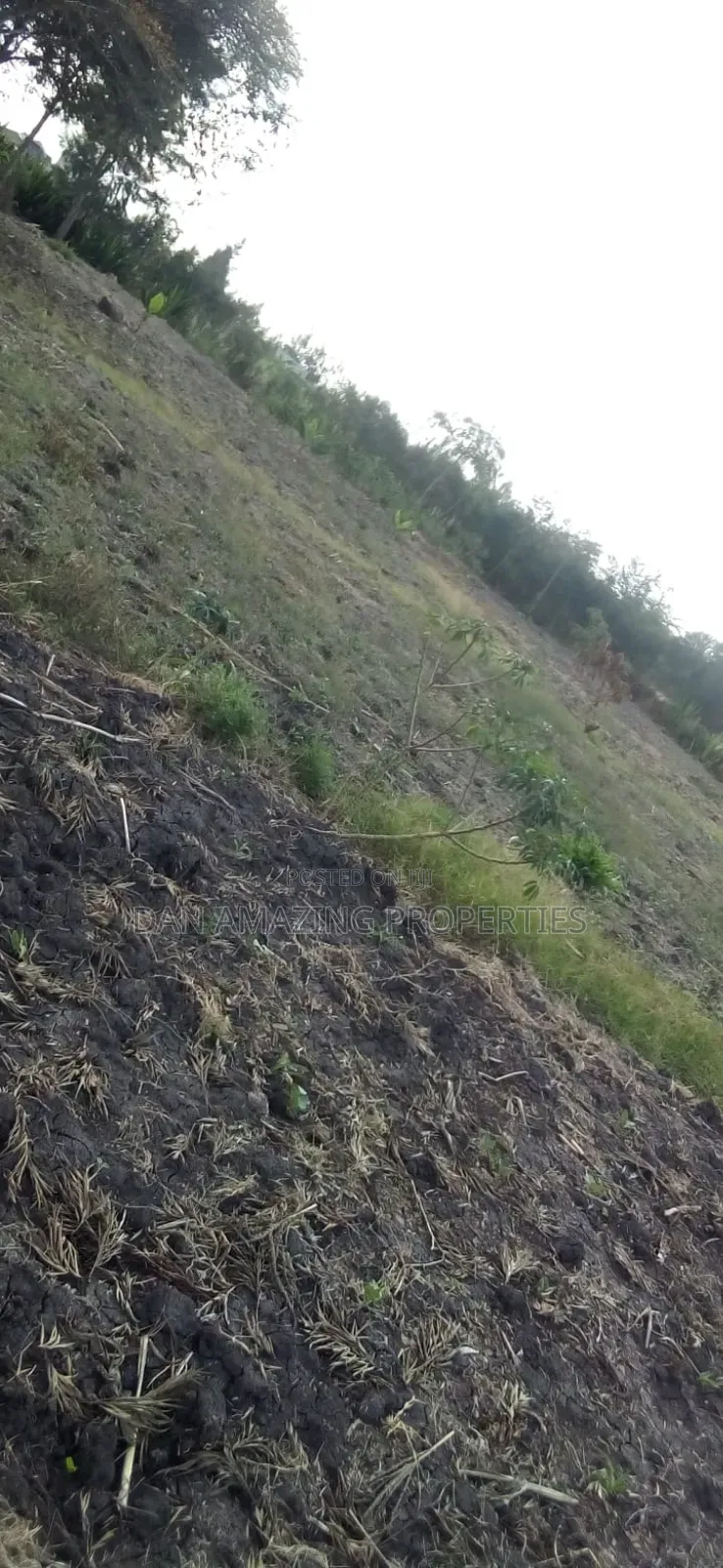 1/4 Acre Plot in Tuala Ongata Rongai for Sale