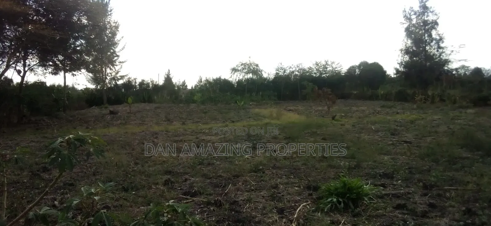 1/4 Acre Plot in Tuala Ongata Rongai for Sale