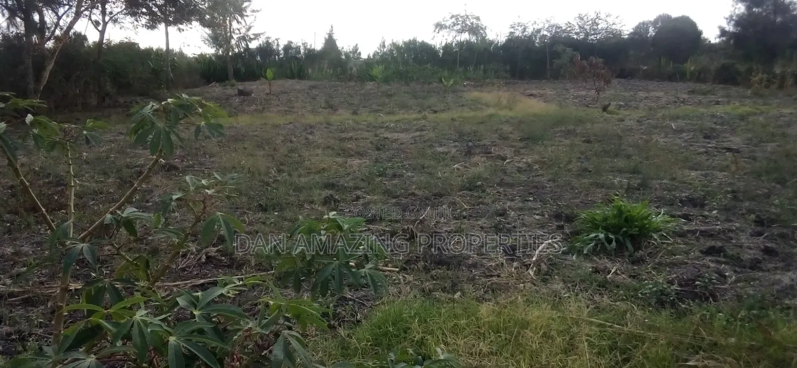 1/4 Acre Plot in Tuala Ongata Rongai for Sale