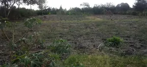 1/4 Acre Plot in Tuala Ongata Rongai for Sale