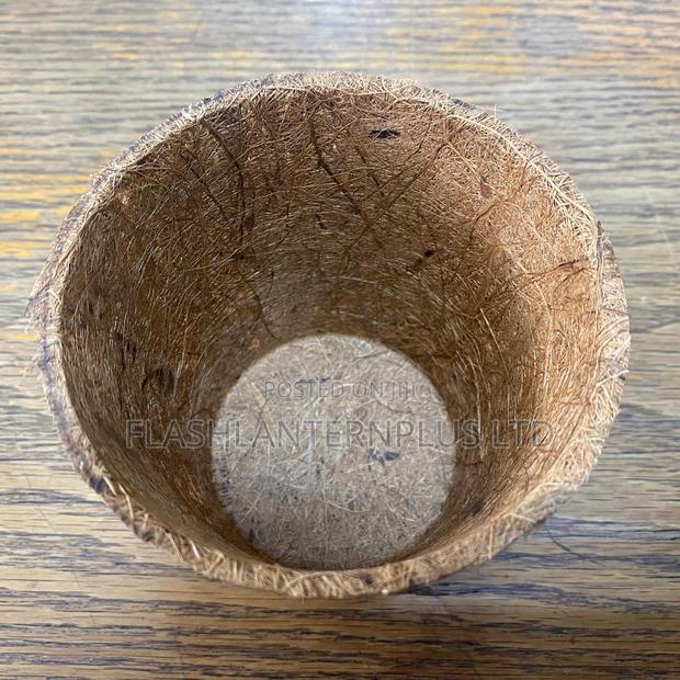 Vuna Coconut Coir Seedling Starter Pots - thumbnail 3