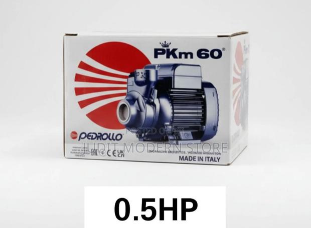 0.5 Pedrollo Water Pump - main view