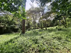 Land for Sale Off Riara Road