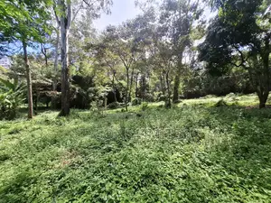 Land for Sale Off Riara Road