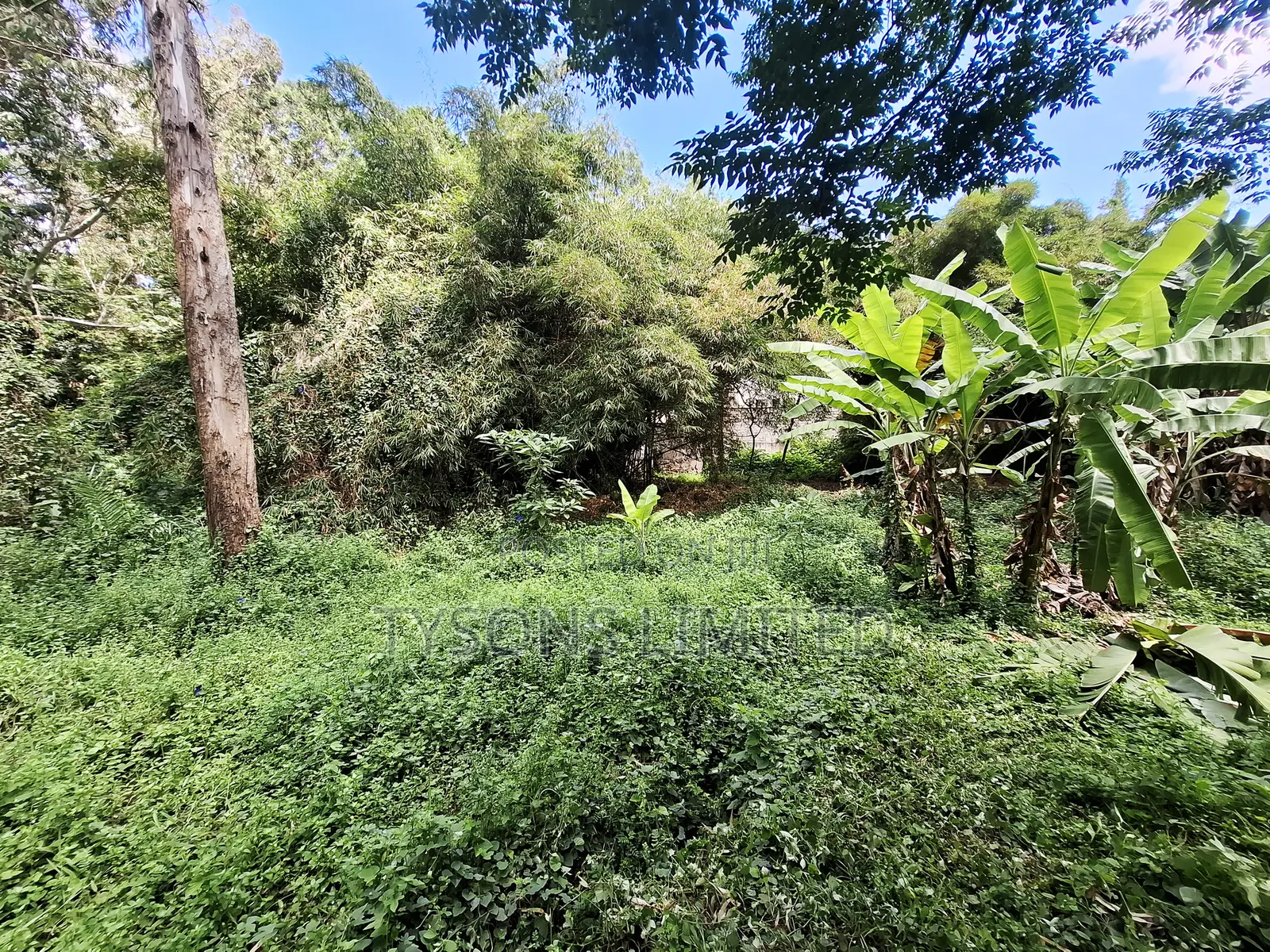 Land for Sale Off Riara Road