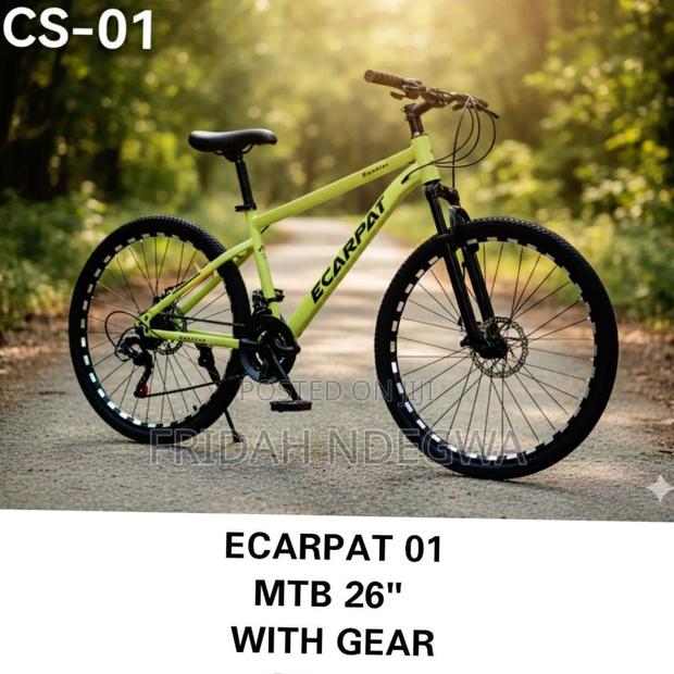 Ecarpat 01 MBT Bike Size 26 With Gear