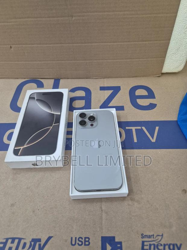 Apple iPhone 16 Pro Max 256 GB Silver - thumbnail 5