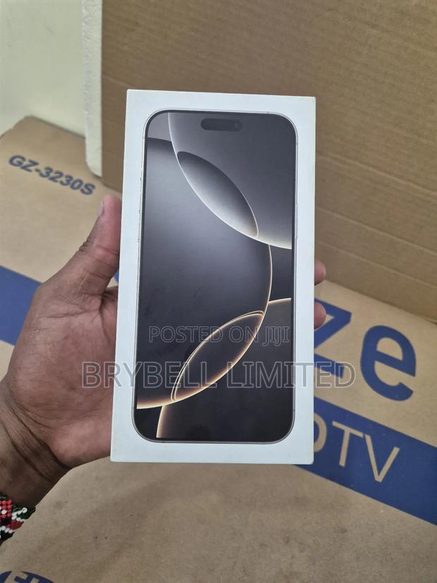 Apple iPhone 16 Pro Max 256 GB Silver - thumbnail 10