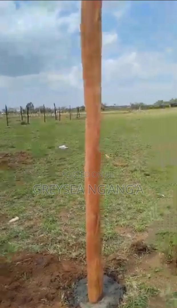 50*100 Plot for Sale in Nakuru - thumbnail 3