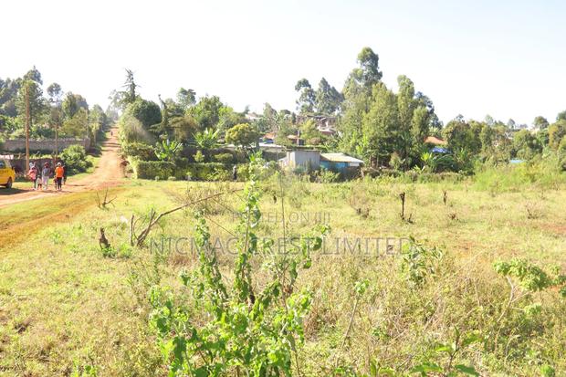 Prime Plots at Karura Highbridges