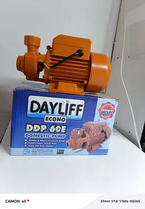 Dayliff Domestic Pump 60e