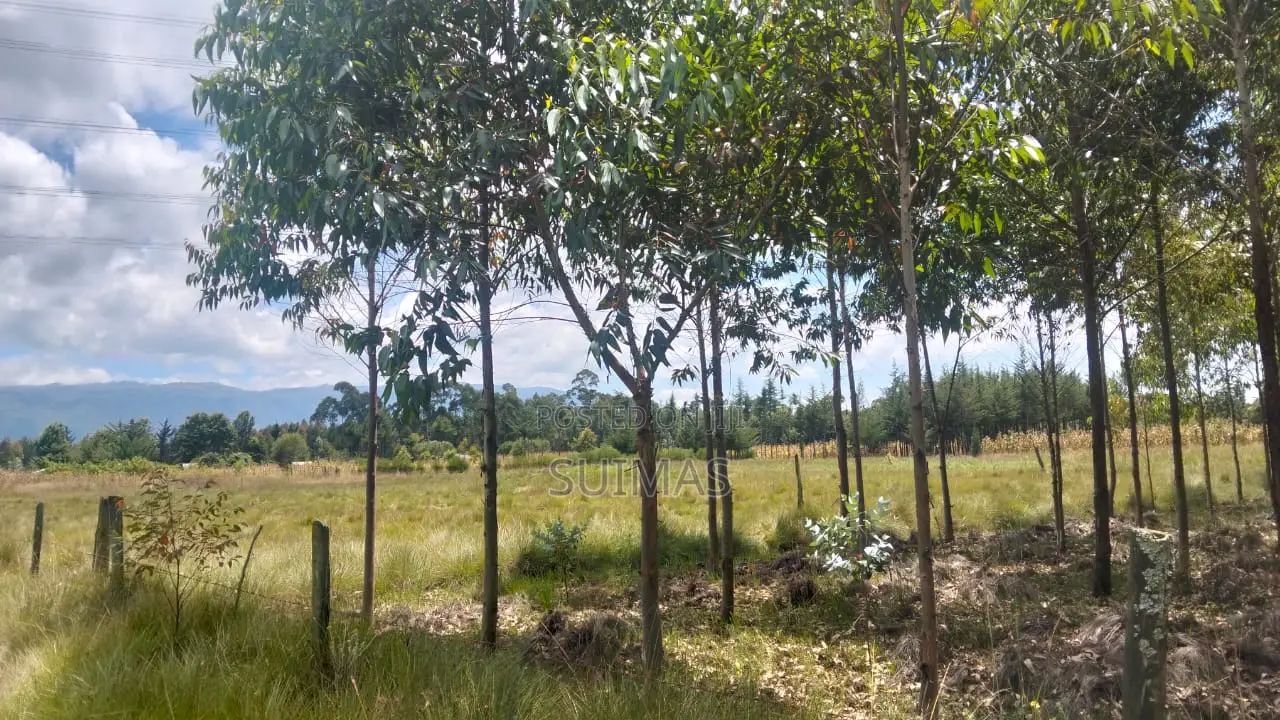 Chebes Land for Sale – 5 Acres