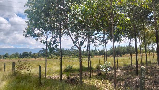 Chebes Land for Sale – 5 Acres