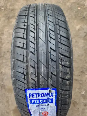 205/65r15 Petromax Tyres 94h PTS Ch 019