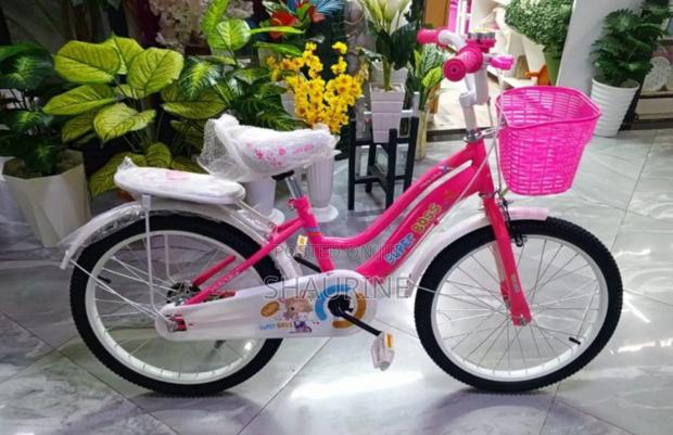 Size 20 Ladybird Bike