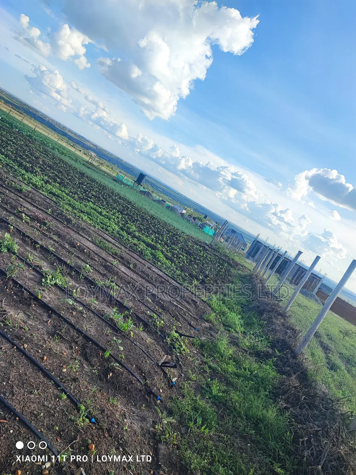 50/100 Plots in Kitengela Acacia Oloika