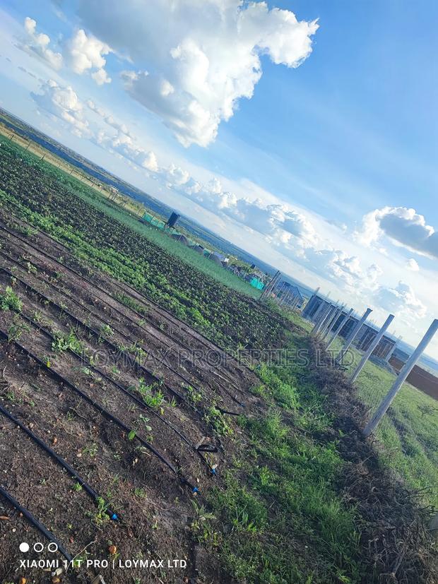 50/100 Plots in Kitengela Acacia Oloika - thumbnail 7