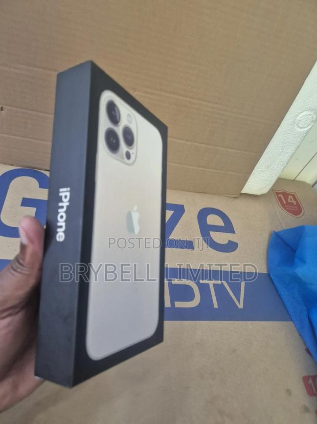 New Apple iPhone 13 Pro Max 256 GB Gold - thumbnail 4