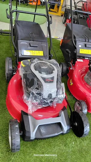 Briggs Abd Straton Big Commercial Self Propelled Lawn Mower Machine.