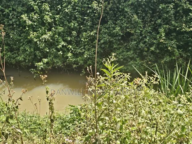 1⁄4 Acre Residential Plot in Koilel Ilula - thumbnail 2