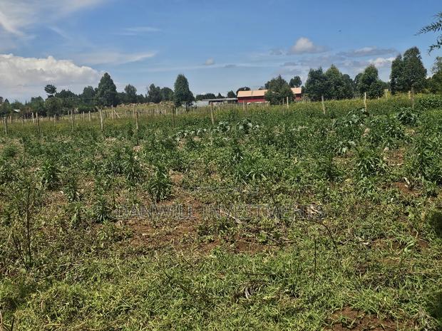 1⁄4 Acre Residential Plot in Koilel Ilula - thumbnail 3