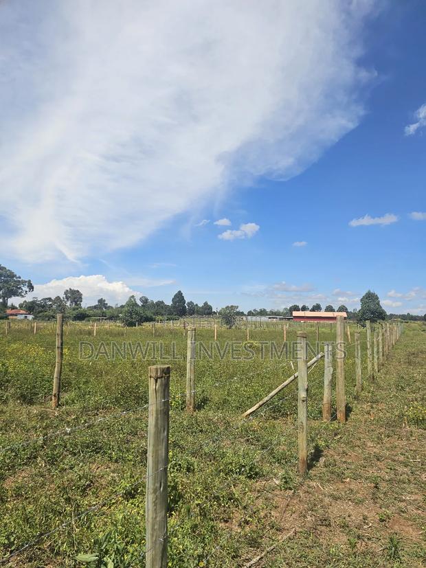 1⁄4 Acre Residential Plot in Koilel Ilula - thumbnail 9