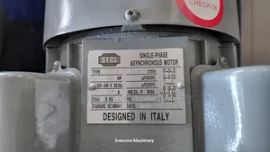 STCL Italy 3hp Electric Single Phase Motor