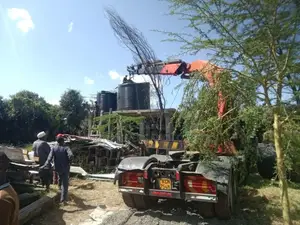 Crane Services for Lifting and Logistics Are Available